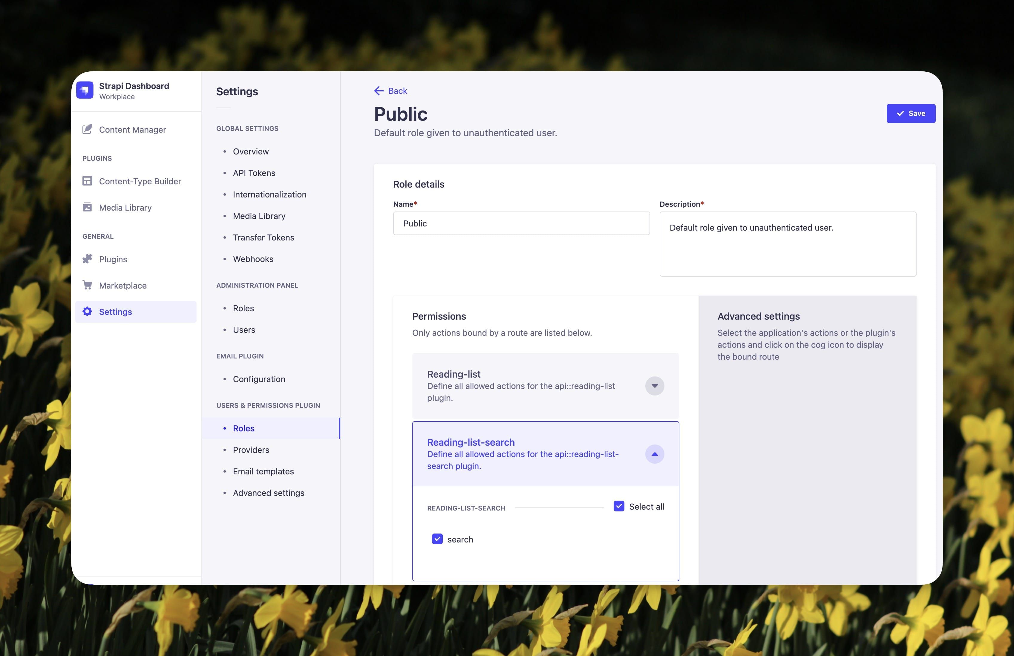 Screenshot of set permission for strapi custom API