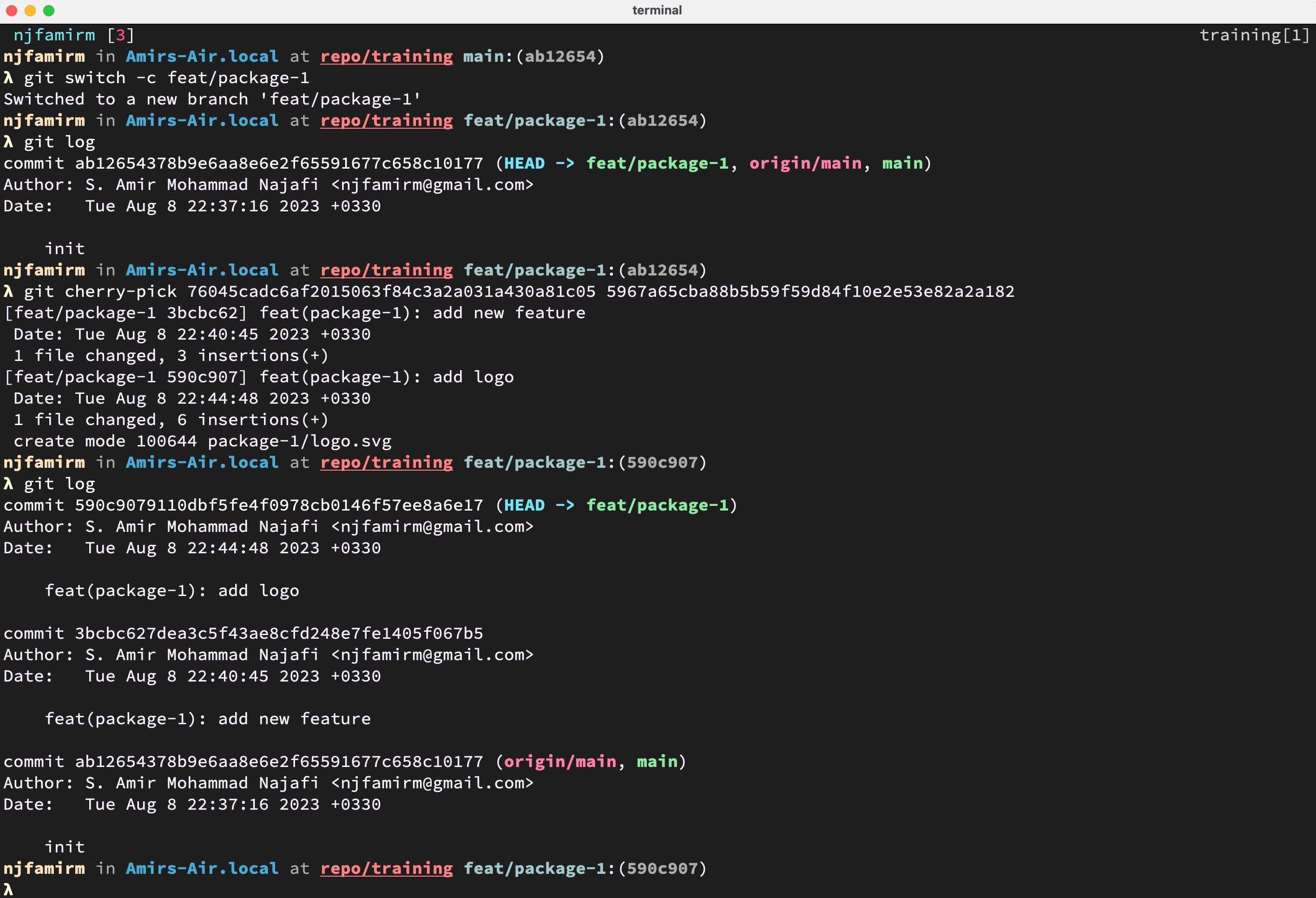 Screenshot of terminal use git cherry-pick to separate commit.