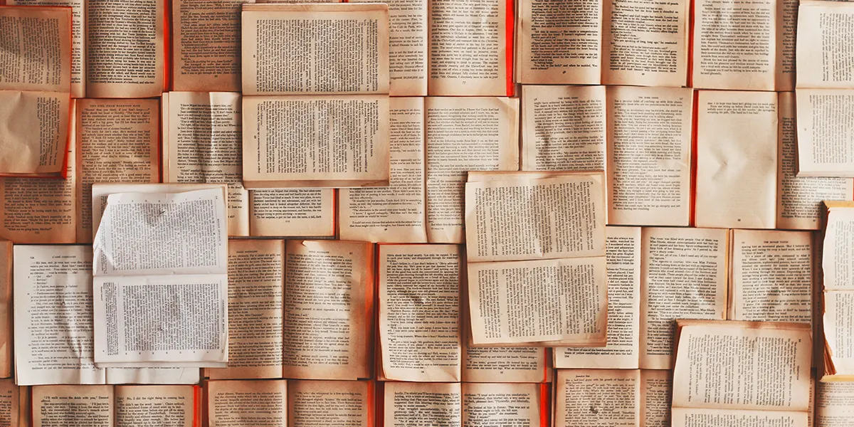 Creating a Searchable Reading List with Strapi CMS Custom API